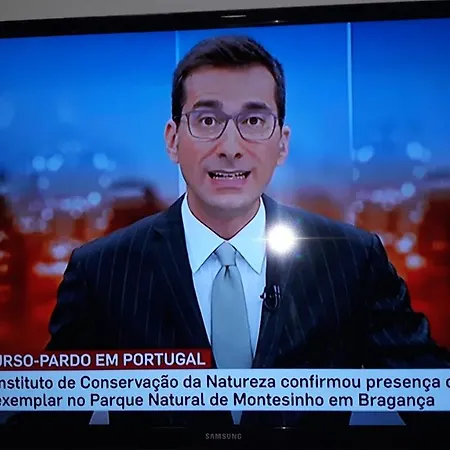 Apimonte Casa Do Pascoal - Pn Montesinho