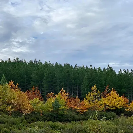 Apimonte Casa Do Pascoal - Pn Montesinho Holiday home *