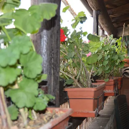 Apimonte Casa Do Pascoal - Pn Montesinho Holiday home