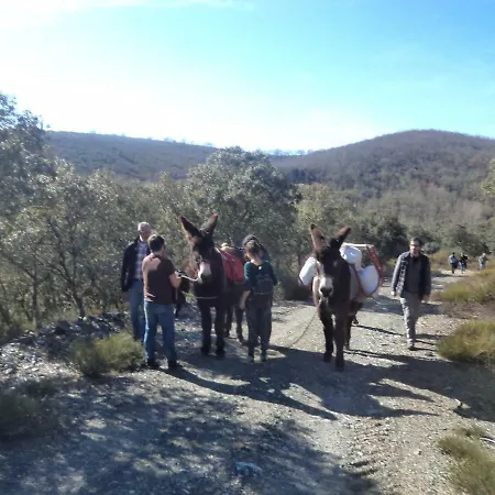 Apimonte Casa Do Pascoal - Pn Montesinho Holiday home *