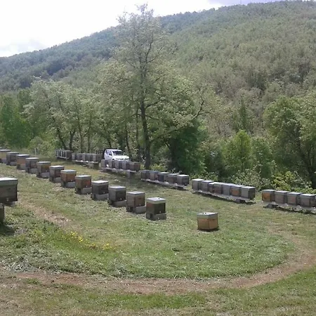 Holiday home Apimonte Casa Do Pascoal - Pn Montesinho *