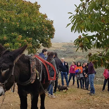 Holiday home Apimonte Casa Do Pascoal - Pn Montesinho *