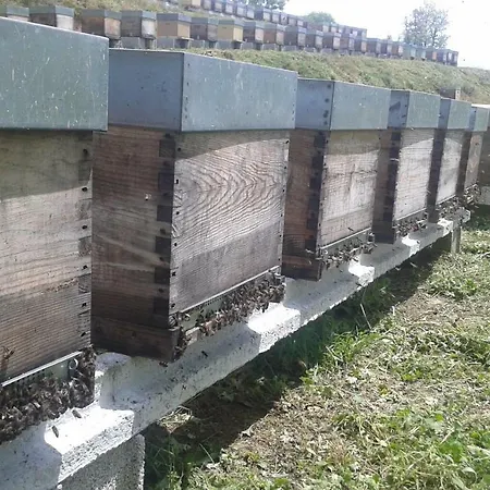 Apimonte Casa Do Pascoal - Pn Montesinho Braganca