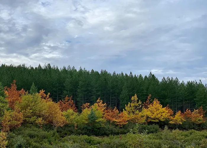 Apimonte Casa Do Pascoal - Pn Montesinho 別荘 *