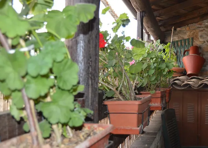 Apimonte Casa Do Pascoal - Pn Montesinho 別荘