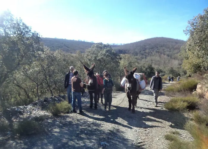 Apimonte Casa Do Pascoal - Pn Montesinho 別荘 *