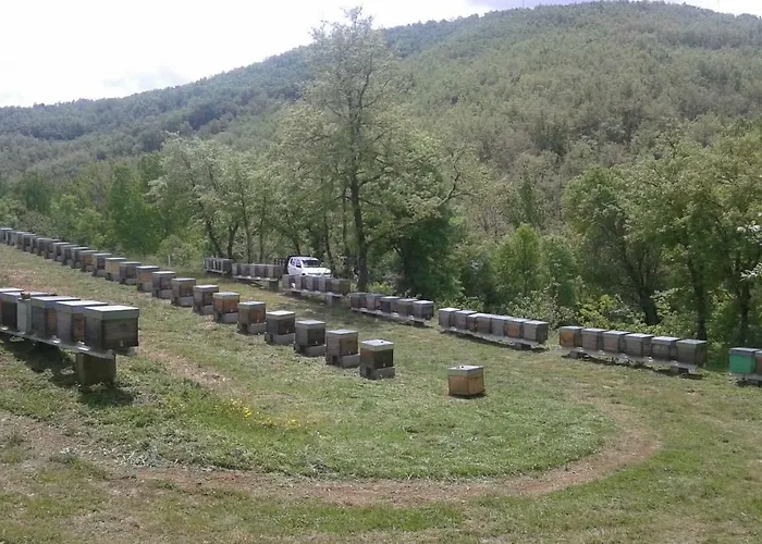 別荘 Apimonte Casa Do Pascoal - Pn Montesinho *