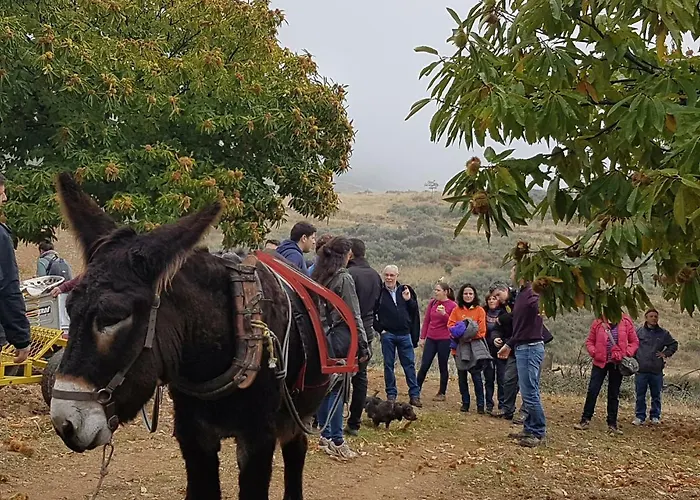 Hébergement de vacances Apimonte Casa Do Pascoal - Pn Montesinho *
