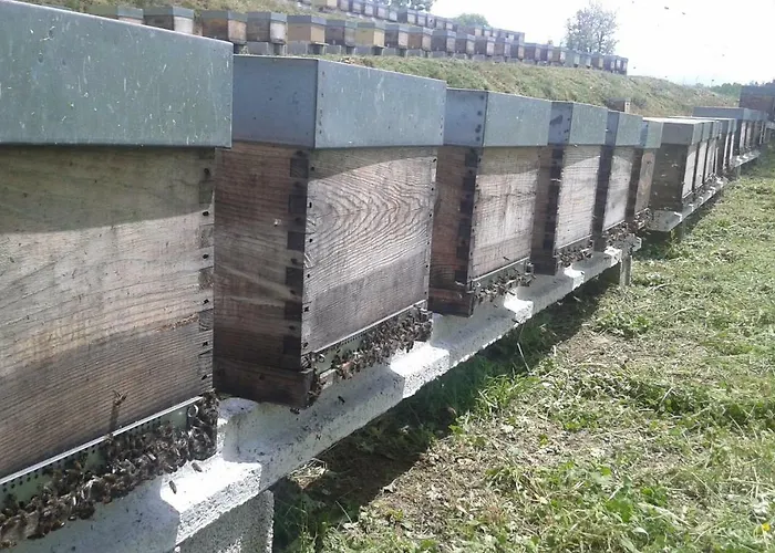 Apimonte Casa Do Pascoal - Pn Montesinho ブラガンサ