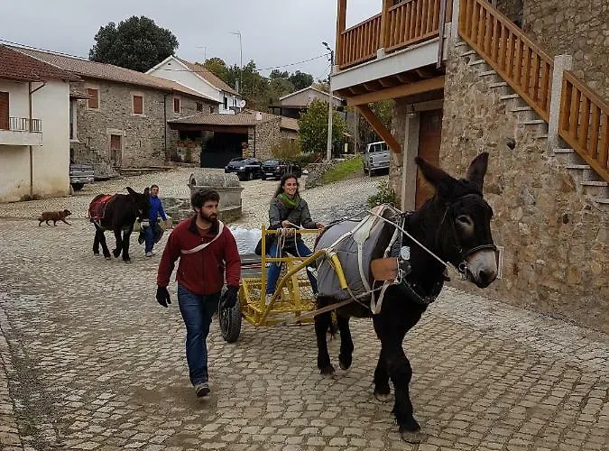 Apimonte Casa Do Pascoal - Pn Montesinho