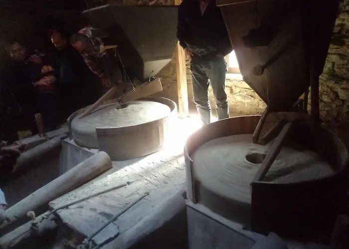 Apimonte Casa Do Pascoal - Pn Montesinho * Bragança